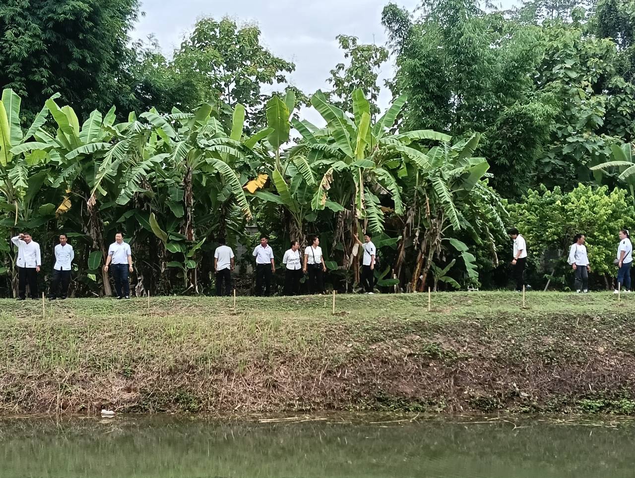 title - ส.ป.ก.แพร่ จัดโครงการ ปลูกเพื่อเปลี่ยน เปลี่ยนเพื่อยั่งยืน  เทิดไท้องค์ทศมราชา เพื่อเพิ่มพื้นที่สีเขียวในเขตปฏิรูปที่ดิน